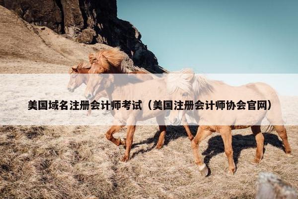 美国域名注册会计师考试（美国注册会计师协会官网）