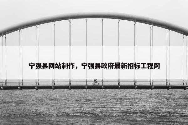 宁强县网站制作，宁强县政府最新招标工程网