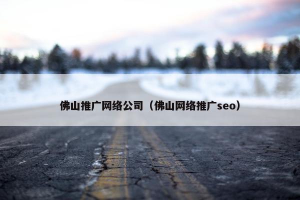 佛山推广网络公司（佛山网络推广seo）