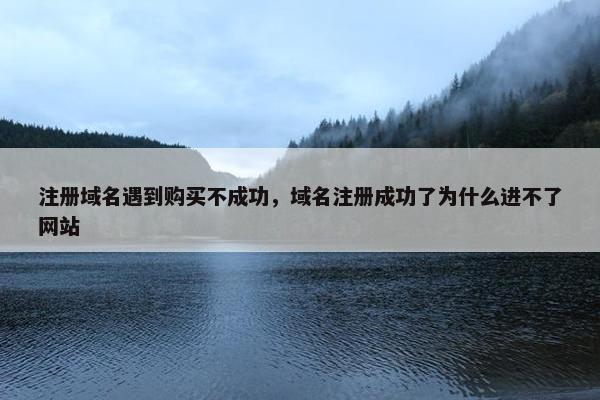 注册域名遇到购买不成功，域名注册成功了为什么进不了网站