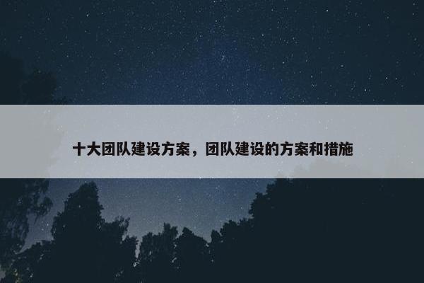 十大团队建设方案，团队建设的方案和措施