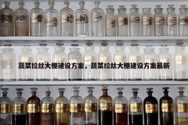 蔬菜拉丝大棚建设方案，蔬菜拉丝大棚建设方案最新