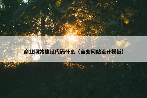 商业网站建设代码什么（商业网站设计模板）