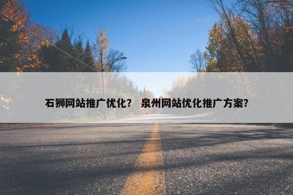 石狮网站推广优化？ 泉州网站优化推广方案？