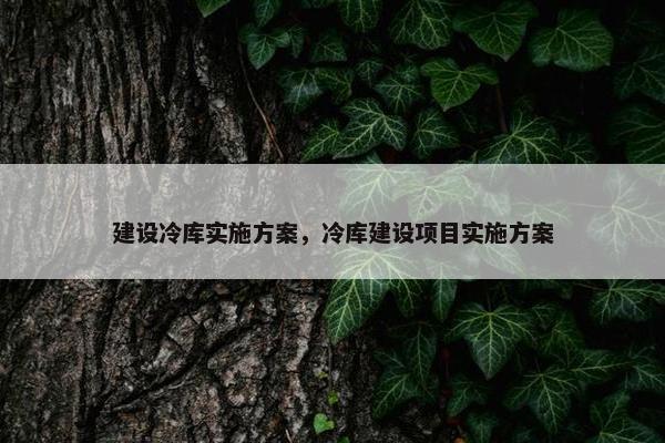 建设冷库实施方案，冷库建设项目实施方案