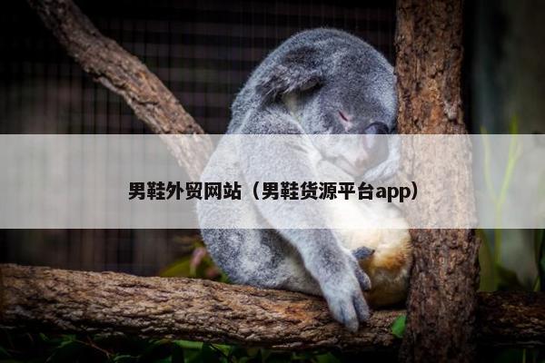 男鞋外贸网站（男鞋货源平台app）