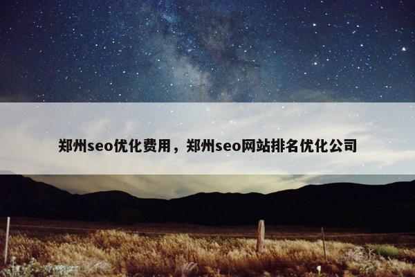 郑州seo优化费用，郑州seo网站排名优化公司