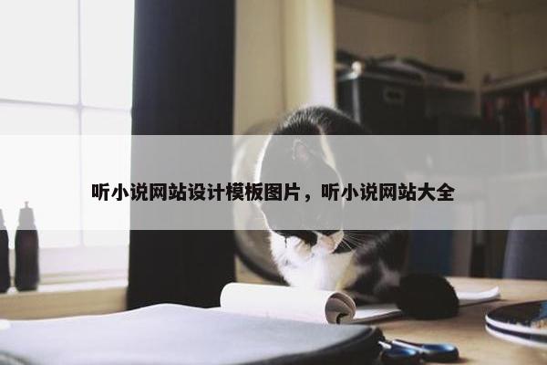 听小说网站设计模板图片，听小说网站大全