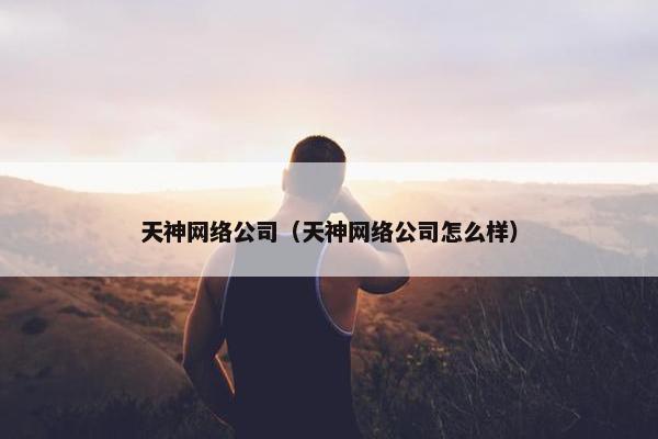 天神网络公司（天神网络公司怎么样）