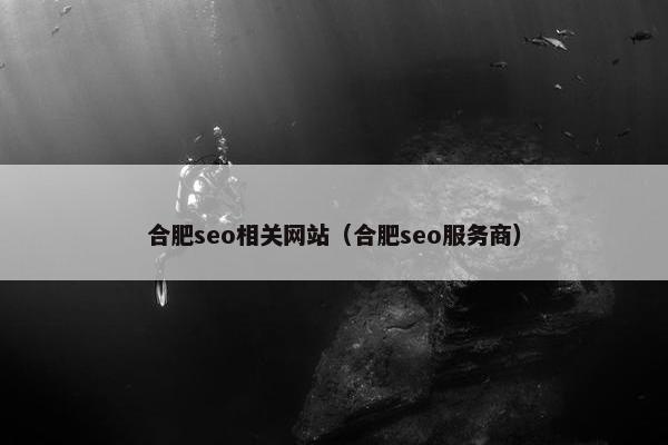 合肥seo相关网站（合肥seo服务商）