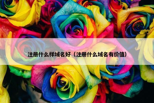 注册什么样域名好（注册什么域名有价值）