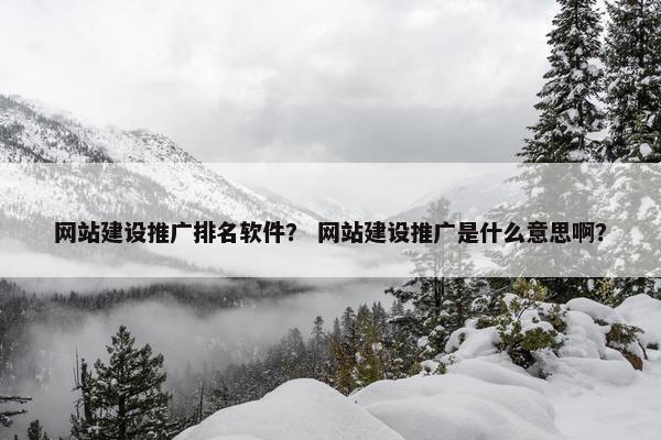 网站建设推广排名软件？ 网站建设推广是什么意思啊？