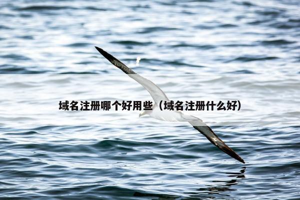 域名注册哪个好用些（域名注册什么好）