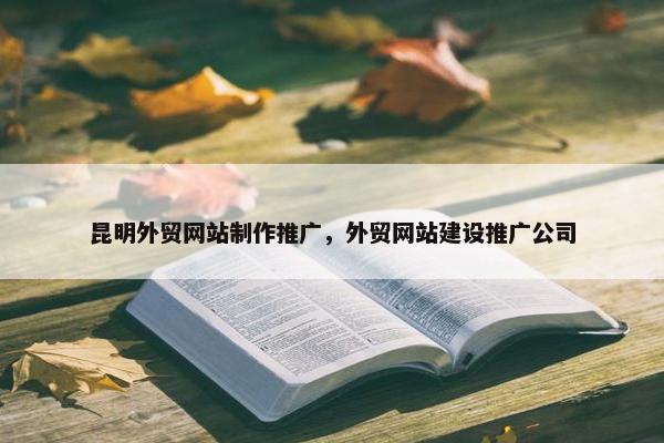 昆明外贸网站制作推广，外贸网站建设推广公司