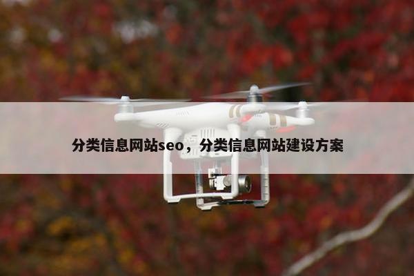 分类信息网站seo，分类信息网站建设方案