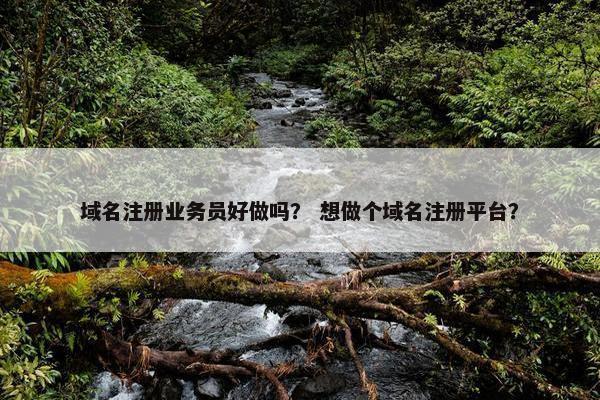 域名注册业务员好做吗？ 想做个域名注册平台？