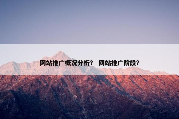 网站推广概况分析？ 网站推广阶段？