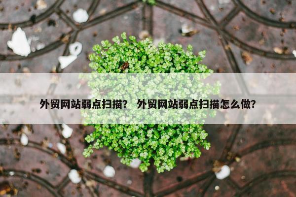 外贸网站弱点扫描？ 外贸网站弱点扫描怎么做？