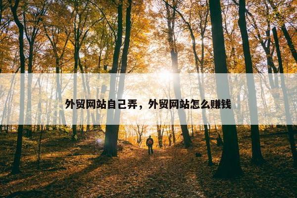 外贸网站自己弄，外贸网站怎么赚钱
