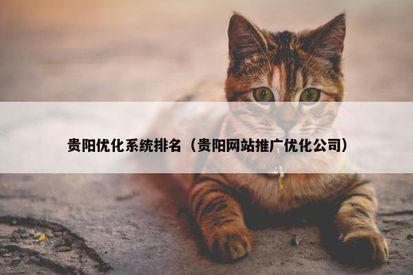 贵阳优化系统排名（贵阳网站推广优化公司）