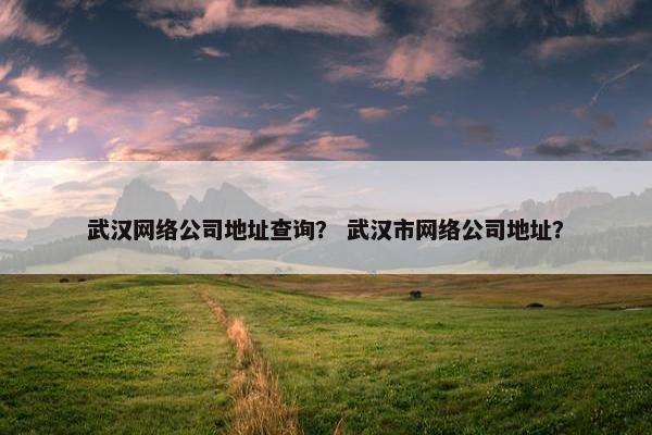 武汉网络公司地址查询？ 武汉市网络公司地址？