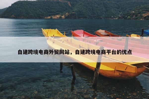 自建跨境电商外贸网站，自建跨境电商平台的优点