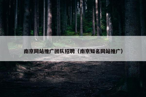 南京网站推广团队招聘（南京知名网站推广）