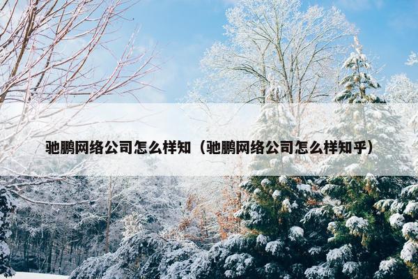 驰鹏网络公司怎么样知（驰鹏网络公司怎么样知乎）