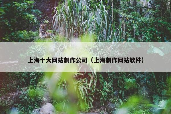 上海十大网站制作公司（上海制作网站软件）