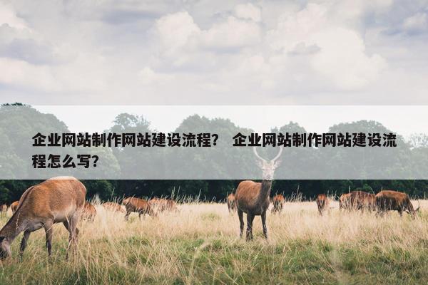 企业网站制作网站建设流程？ 企业网站制作网站建设流程怎么写？