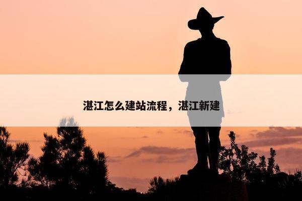 湛江怎么建站流程，湛江新建