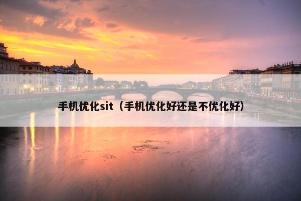 手机优化sit（手机优化好还是不优化好）