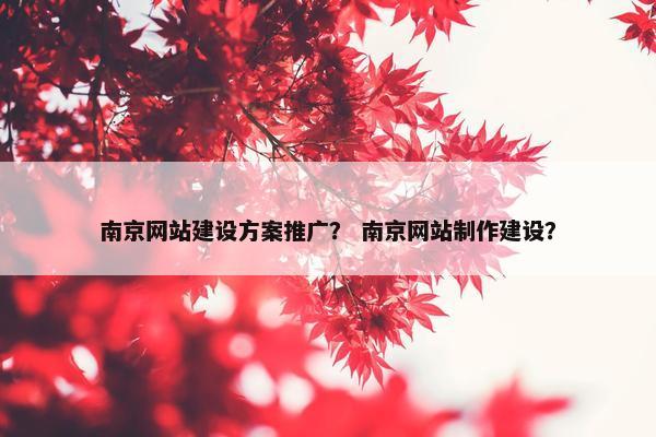 南京网站建设方案推广？ 南京网站制作建设？