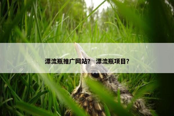 漂流瓶推广网站？ 漂流瓶项目？