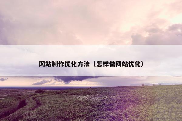 网站制作优化方法（怎样做网站优化）