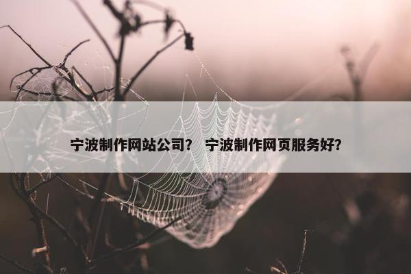 宁波制作网站公司？ 宁波制作网页服务好？