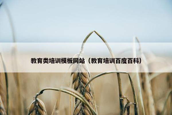 教育类培训模板网站（教育培训百度百科）
