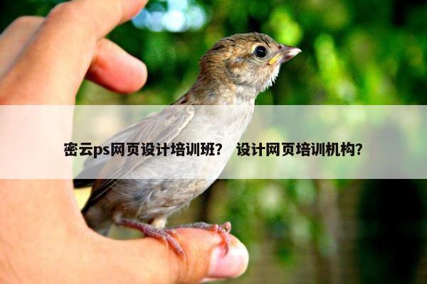 密云ps网页设计培训班？ 设计网页培训机构？