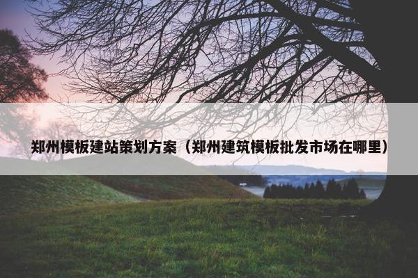 郑州模板建站策划方案（郑州建筑模板批发市场在哪里）