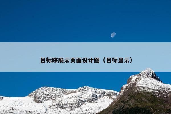 目标踪展示页面设计图（目标显示）