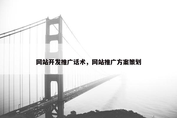 网站开发推广话术，网站推广方案策划