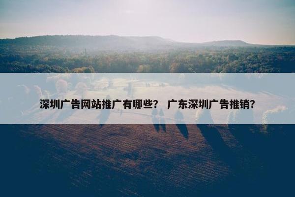 深圳广告网站推广有哪些？ 广东深圳广告推销？