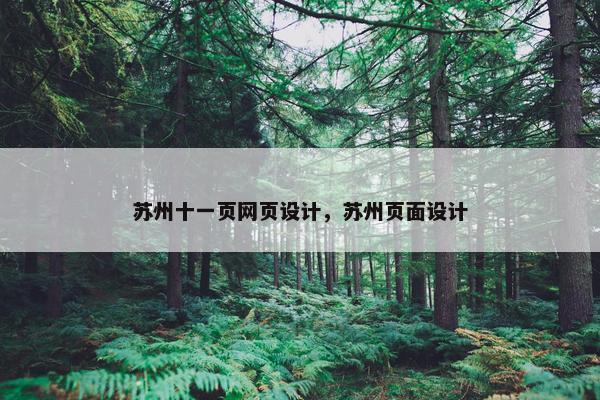 苏州十一页网页设计，苏州页面设计