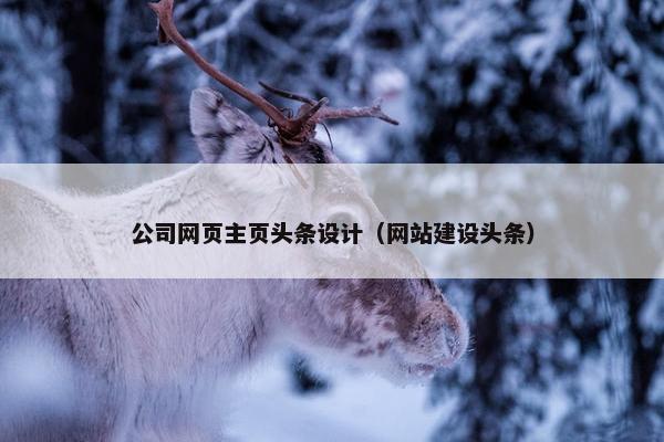 公司网页主页头条设计（网站建设头条）