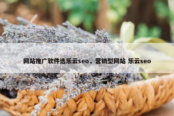 网站推广软件选乐云seo，营销型网站 乐云seo
