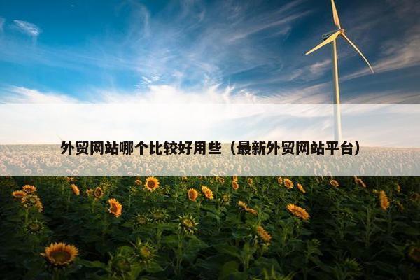 外贸网站哪个比较好用些（最新外贸网站平台）