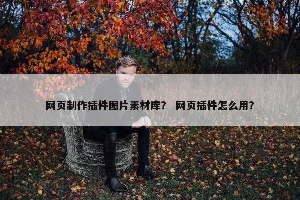 网页制作插件图片素材库？ 网页插件怎么用？