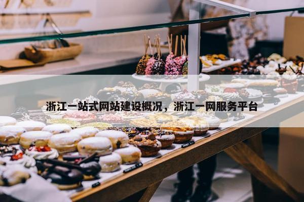浙江一站式网站建设概况，浙江一网服务平台