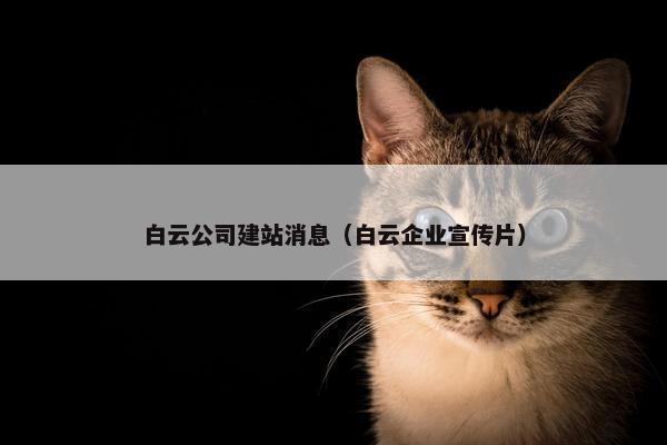 白云公司建站消息（白云企业宣传片）