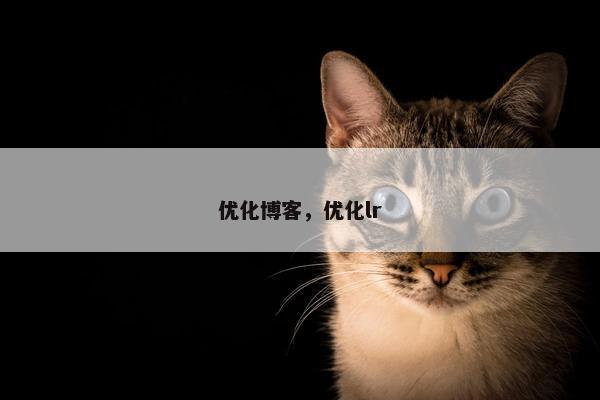 优化博客，优化lr